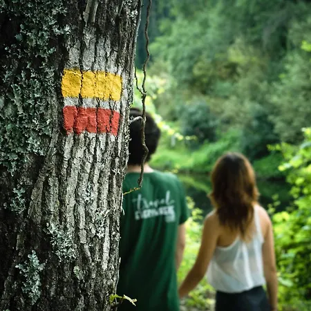 Do Parque - Congress&spa Termas de São Pedro do Sul