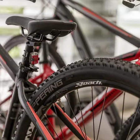 Do Parque - Congress & Hotel Termas de Sao Pedro do Sul