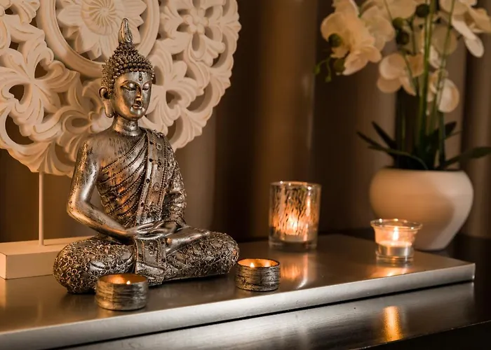 Do Parque - Congress&spa Termas de São Pedro do Sul