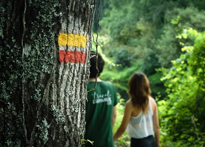 Do Parque - Congress&spa Termas de São Pedro do Sul