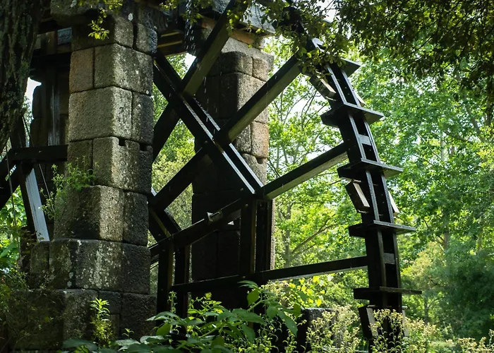 Do Parque - Congress &