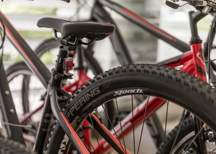 Do Parque - Congress & Отель Термаш-де-Сан-Педру-ду-Сул